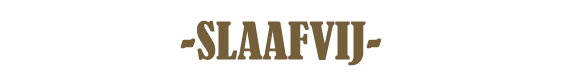  SLAAFVIJ 